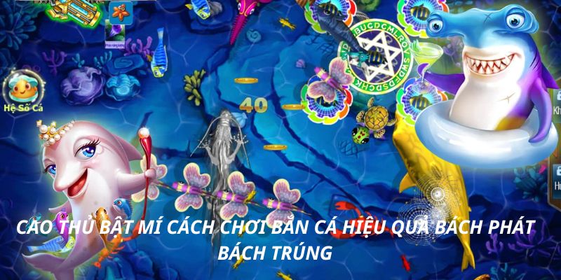 Cao thủ bật mí cách chơi bắn cá hiệu quả bách phát bách trúng