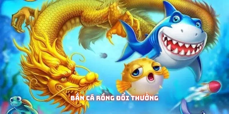 ban ca rong doi thuong dai dien