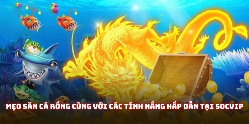 Mẹo săn cá rồng cùng với các tính nắng hấp dẫn tại Socvip