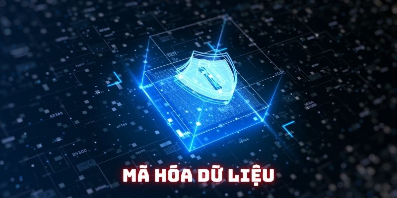 Chính sách bảo mật Socvip với mã hóa dữ liệu