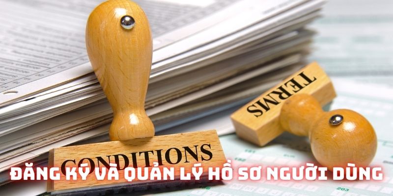 Điều khoản điều kiện Socvip về quản lý hồ sơ người dùng