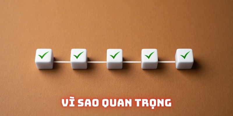 Vì sao điều khoản điều kiện Socvip quan trọng
