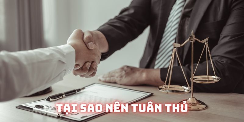 Tại sao nên tuân thủ điều khoản điều kiện Socvip?