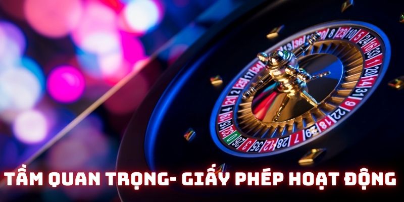 Tầm quan trọng của giấy phép hoạt động Socvip