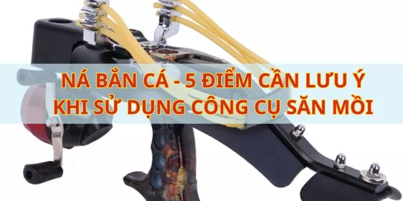 na ban ca dai dien