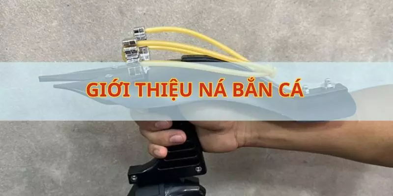 Giới thiệu ná bắn cá