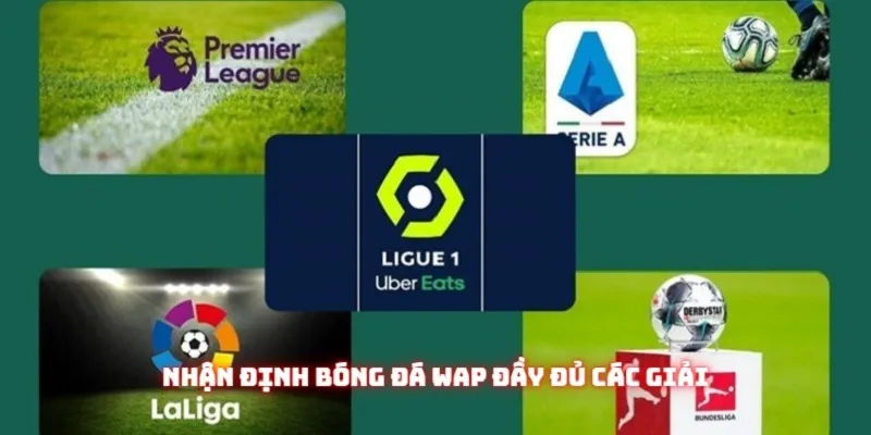 Chuyên mục luôn cập nhật đầy đủ và trọn vẹn toàn bộ các giải đấu