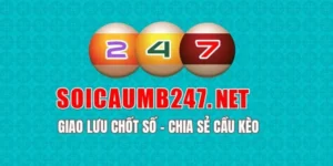 soi cau 247 mb dai dien