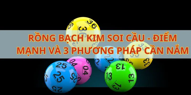 soi cau rong bach kim dai dien