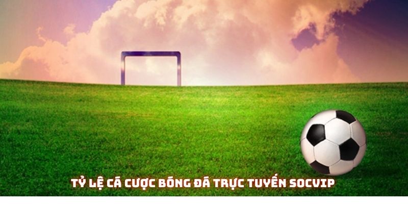 ty le ca cuoc bong da truc tuyen avt