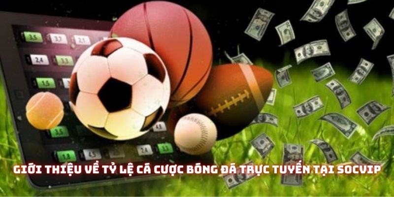 Giới thiệu về tỷ lệ cá cược bóng đá trực tuyến tại Socvip