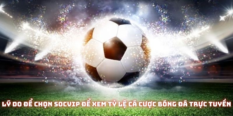 Lý do để chọn Socvip để xem tỷ lệ cá cược bóng đá trực tuyến 