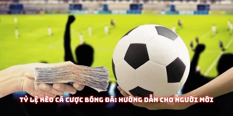 ty le keo ca cuoc bong da avt